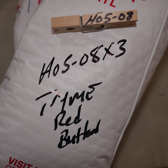 Big Try Me Button Animatronics Lowes Home Depot Spirit Halloween Christmas Prop - Picture 5 of 5